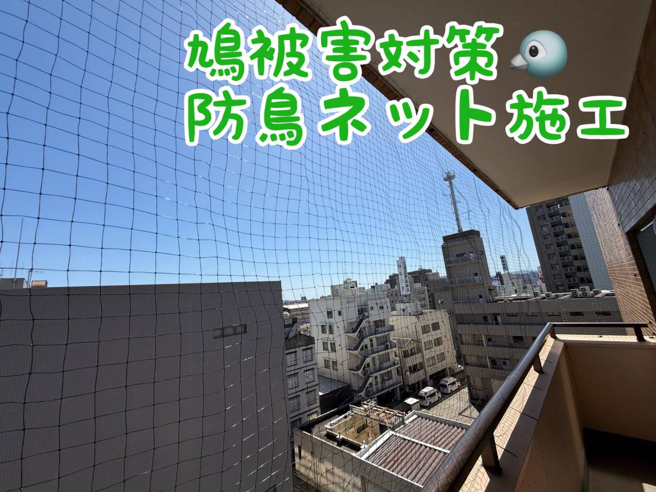 徳島市鳩被害対策(鳩よけネット)