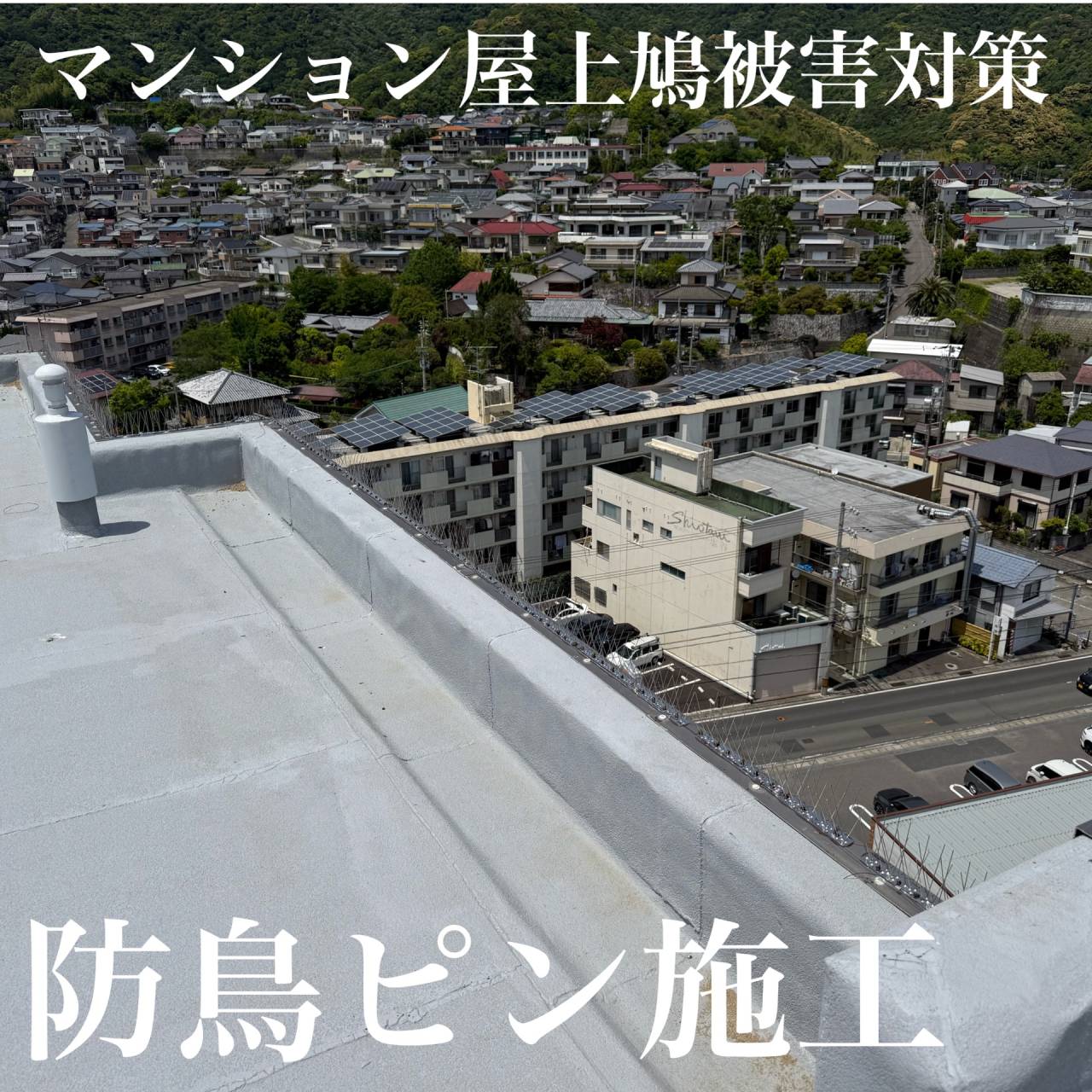 徳島市某マンションにて鳩被害対策(防鳥ピン)